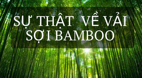Sự thật về vả bamboo